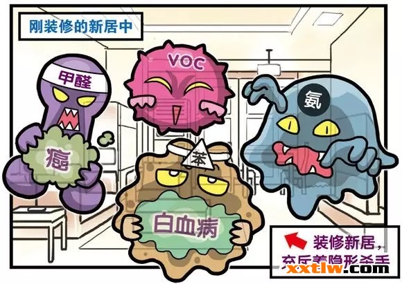 蘭舍硅藻泥