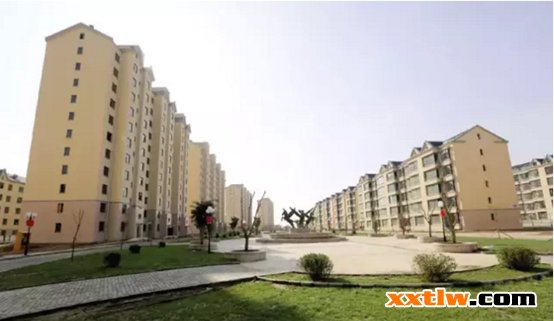 三棵樹
