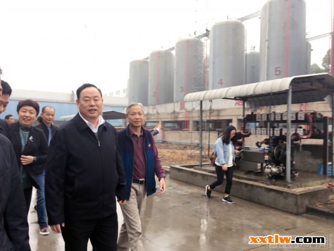 迪邦涂料