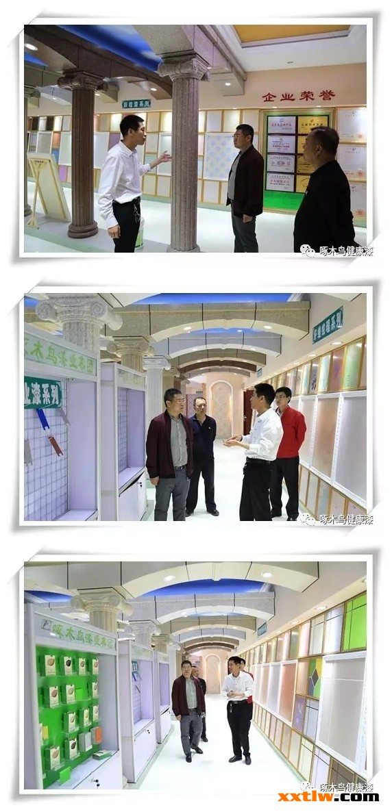 綏中縣委領(lǐng)導(dǎo)參觀考察啄木鳥漆業(yè)集團(tuán)并給出高度評(píng)價(jià)