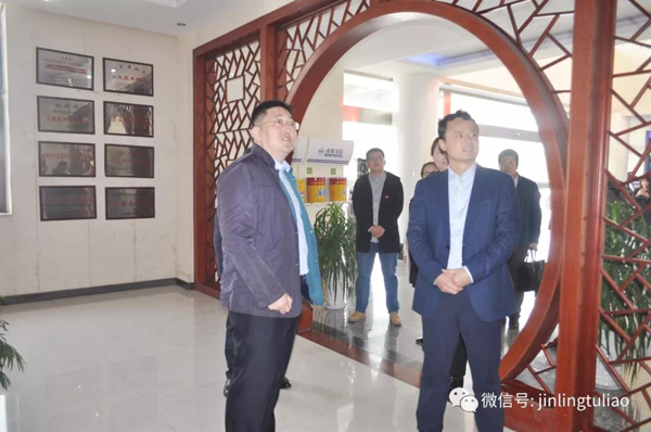 江蘇團(tuán)省委書記王偉一行蒞臨金陵涂料調(diào)研