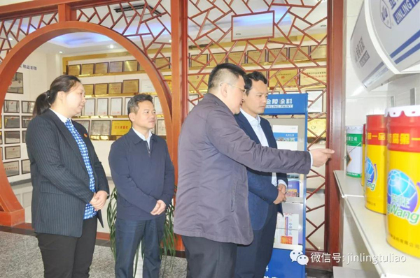江蘇團(tuán)省委書記王偉一行蒞臨金陵涂料調(diào)研