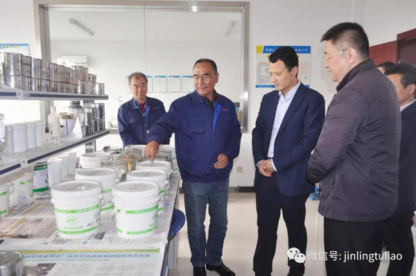 江蘇團(tuán)省委書記王偉一行蒞臨金陵涂料調(diào)研