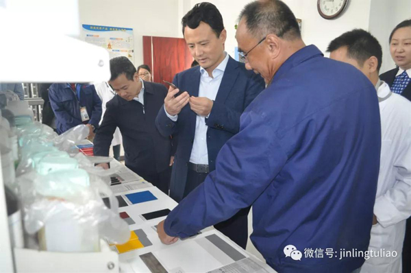 江蘇團(tuán)省委書記王偉一行蒞臨金陵涂料調(diào)研